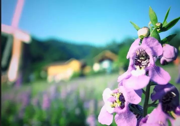 德庆盘龙峡谷风景区_德庆盘龙峡_德庆盘龙峡旅游攻略