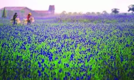 德庆盘龙峡谷风景区_德庆盘龙峡旅游攻略_德庆盘龙峡