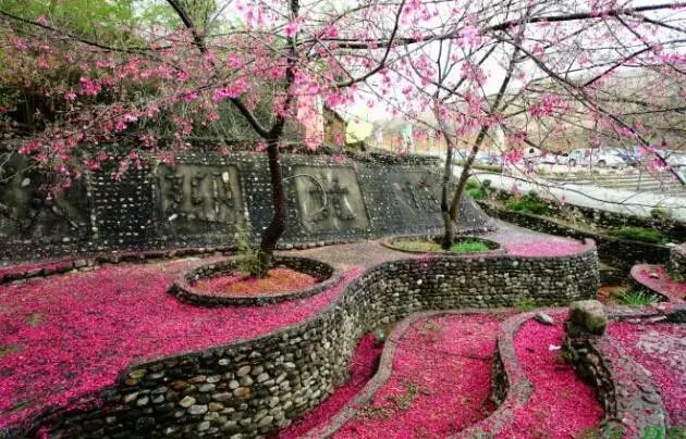 德庆盘龙峡_德庆盘龙峡旅游攻略_德庆盘龙峡谷风景区