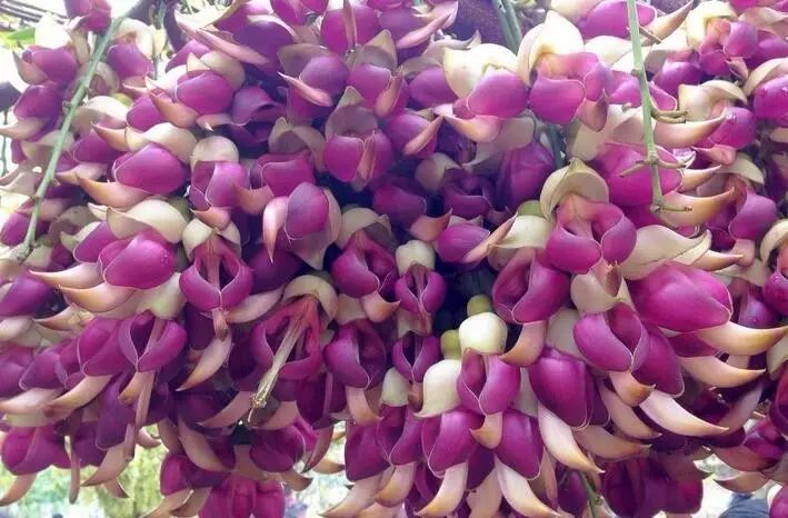 德庆盘龙峡谷风景区_德庆盘龙峡_德庆盘龙峡旅游攻略