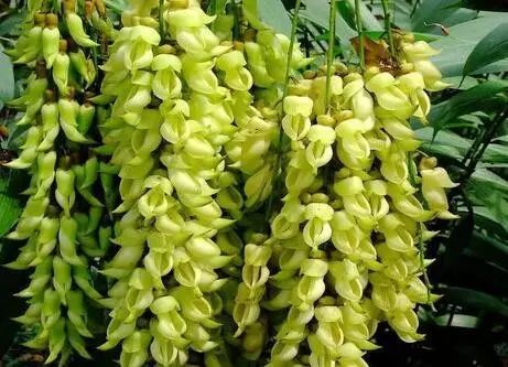 德庆盘龙峡_德庆盘龙峡谷风景区_德庆盘龙峡旅游攻略