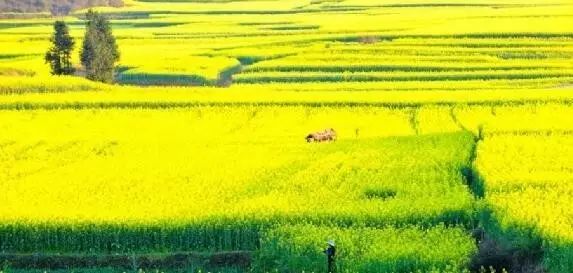 德庆盘龙峡旅游攻略_德庆盘龙峡谷风景区_德庆盘龙峡