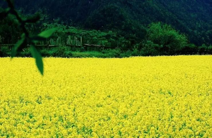 德庆盘龙峡_德庆盘龙峡谷风景区_德庆盘龙峡旅游攻略