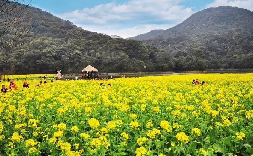 德庆盘龙峡谷风景区_德庆盘龙峡_德庆盘龙峡旅游攻略