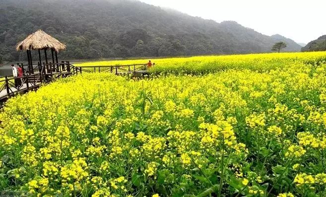 德庆盘龙峡_德庆盘龙峡旅游攻略_德庆盘龙峡谷风景区