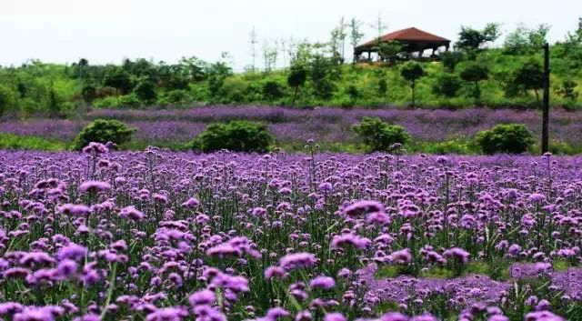 德庆盘龙峡好玩吗_德庆盘龙峡旅游攻略_德庆盘龙峡谷风景区