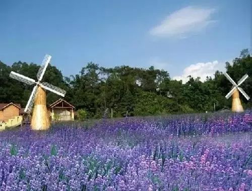 德庆盘龙峡好玩吗_德庆盘龙峡谷风景区_德庆盘龙峡旅游攻略