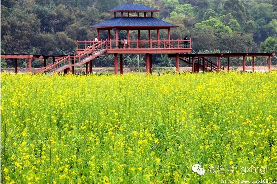 德庆盘龙峡谷风景区_德庆盘龙峡旅游攻略_德庆盘龙峡好玩吗
