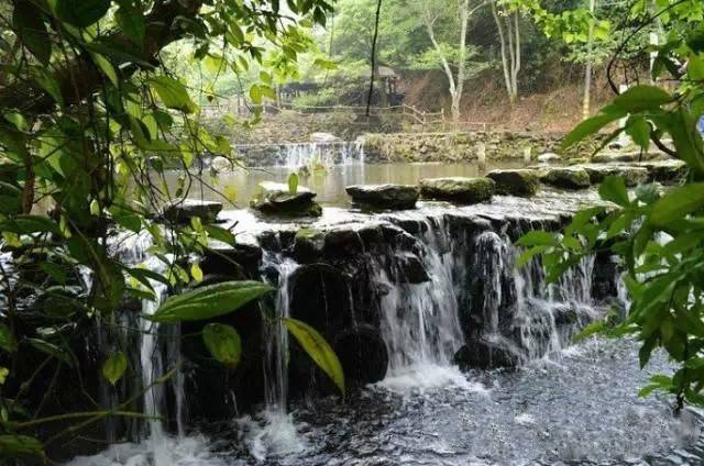 德庆盘龙峡谷风景区_德庆盘龙峡旅游攻略_德庆盘龙峡好玩吗