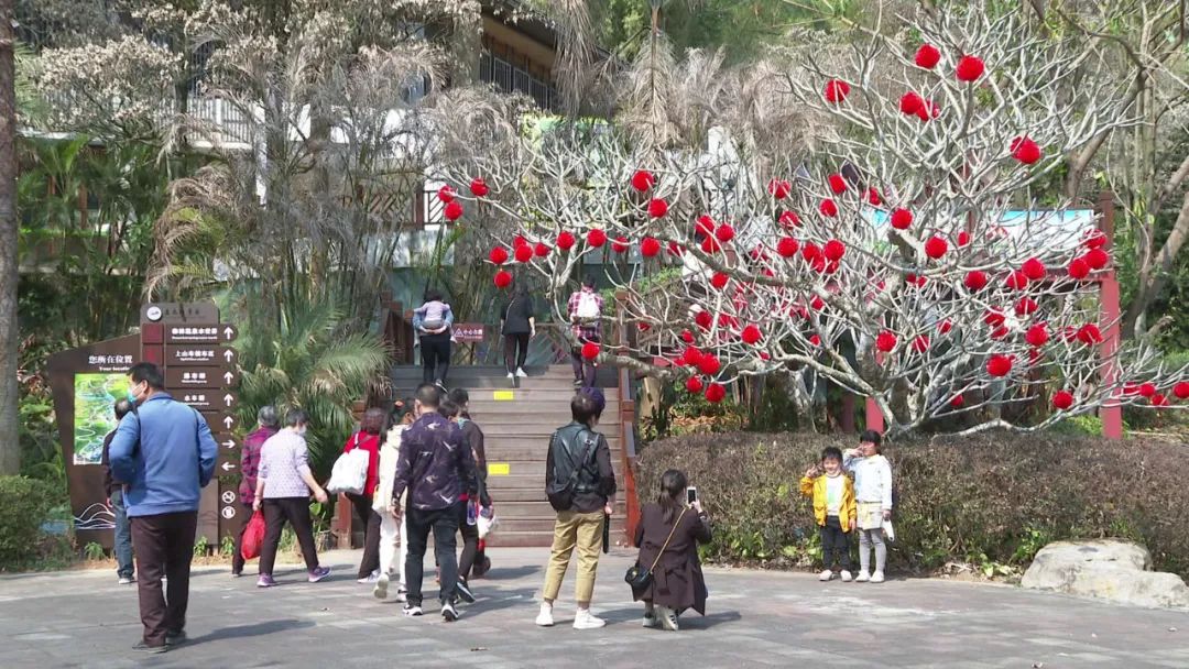 德庆盘龙峡谷风景区_德庆盘龙峡_德庆盘龙峡旅游攻略