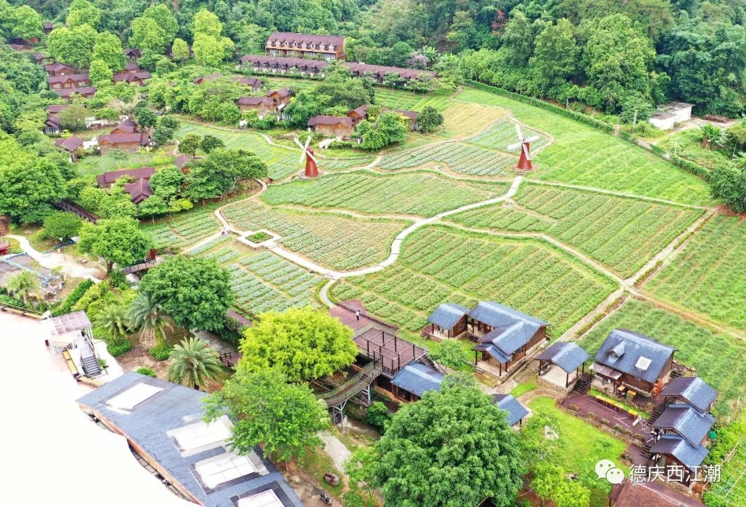 德庆盘龙峡谷风景区_德庆盘龙峡旅游攻略_德庆盘龙峡景区门票团购价格