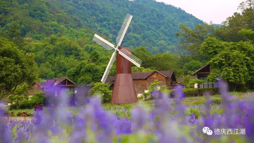 德庆盘龙峡旅游攻略_德庆盘龙峡谷风景区_德庆盘龙峡景区门票团购价格