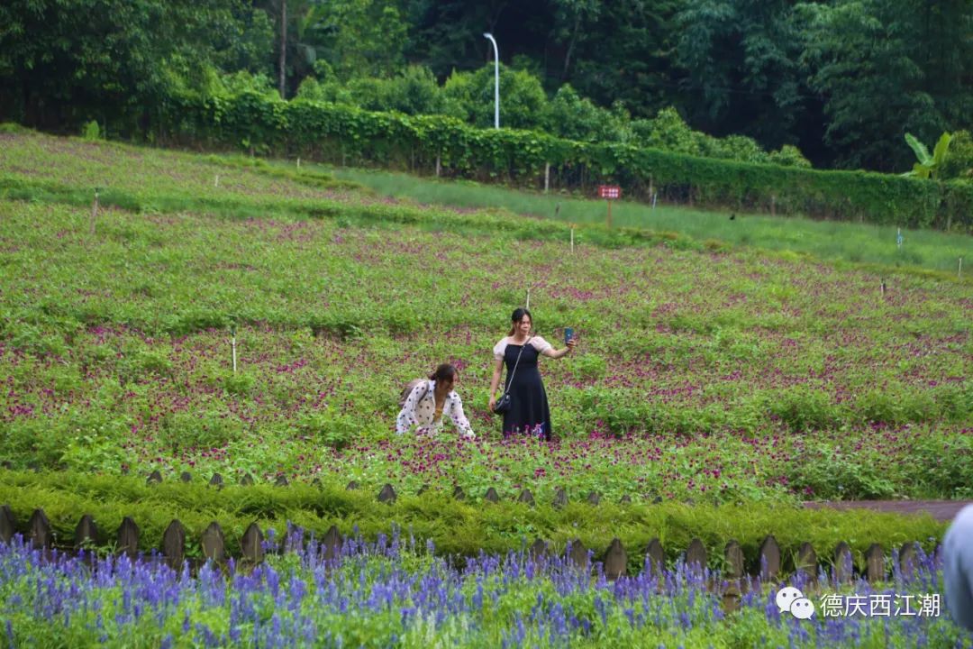 德庆盘龙峡谷风景区_德庆盘龙峡景区门票团购价格_德庆盘龙峡旅游攻略