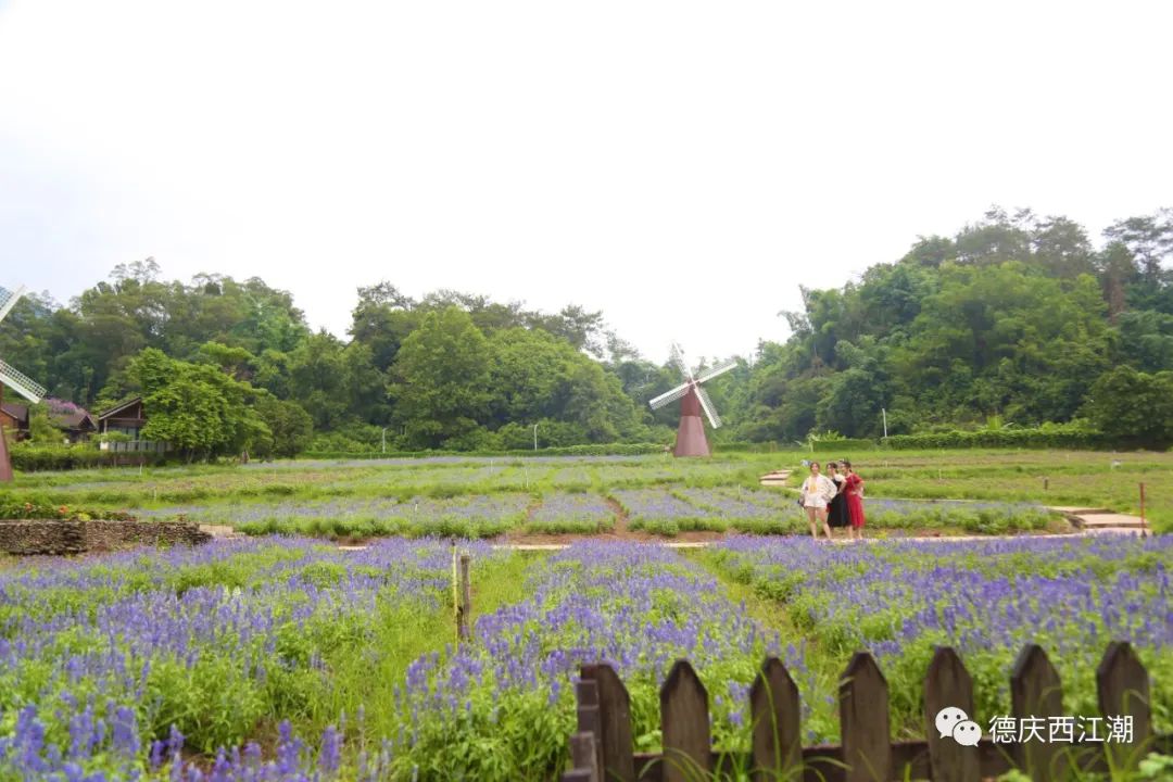 德庆盘龙峡谷风景区_德庆盘龙峡旅游攻略_德庆盘龙峡景区门票团购价格