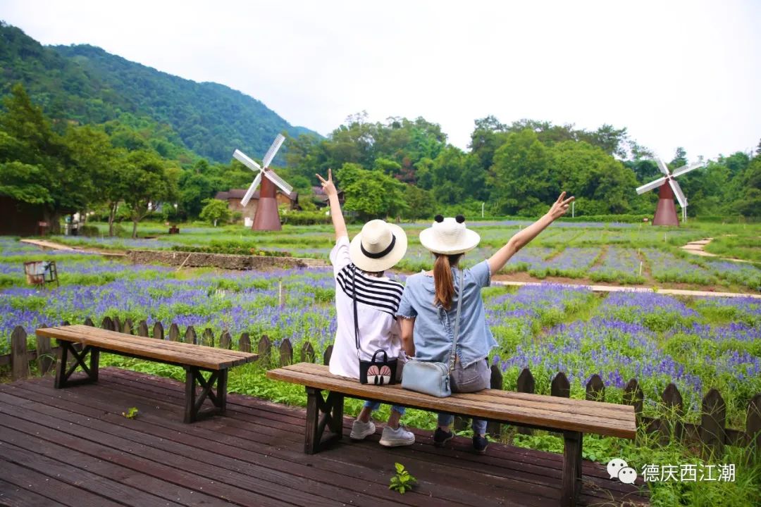 德庆盘龙峡旅游攻略_德庆盘龙峡谷风景区_德庆盘龙峡景区门票团购价格