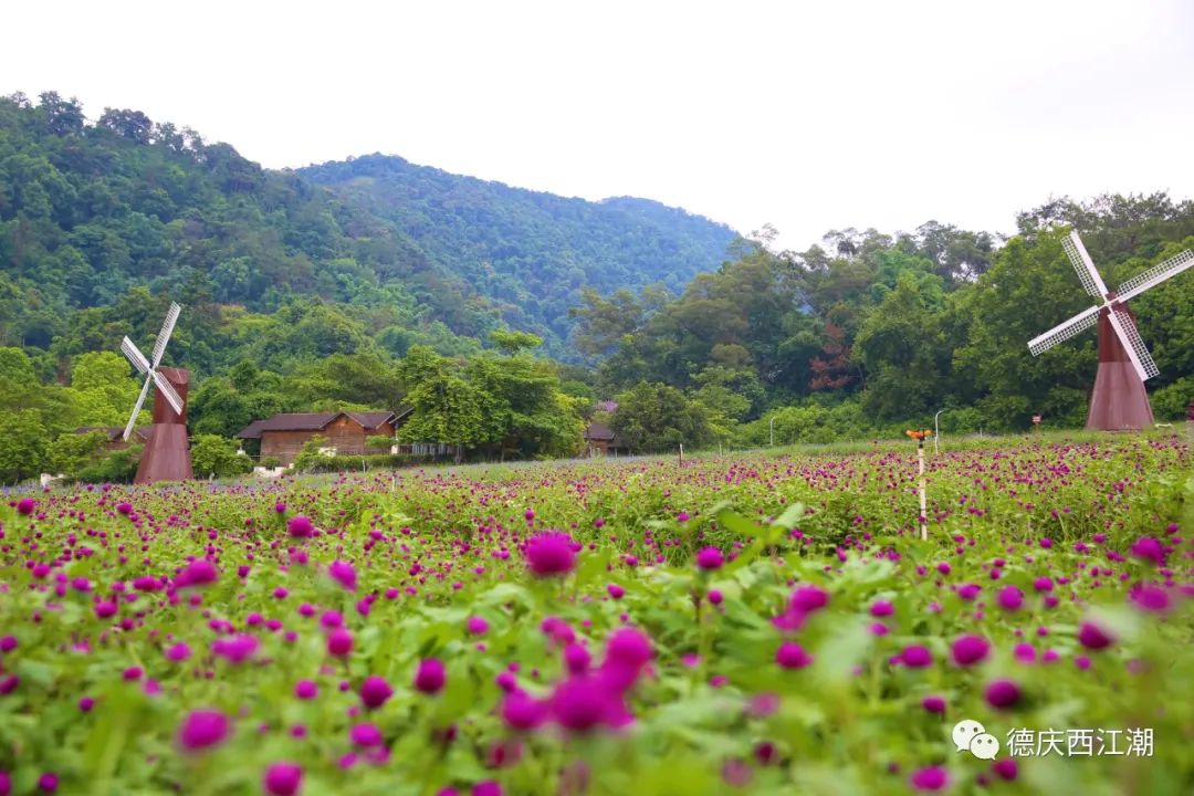德庆盘龙峡谷风景区_德庆盘龙峡景区门票团购价格_德庆盘龙峡旅游攻略