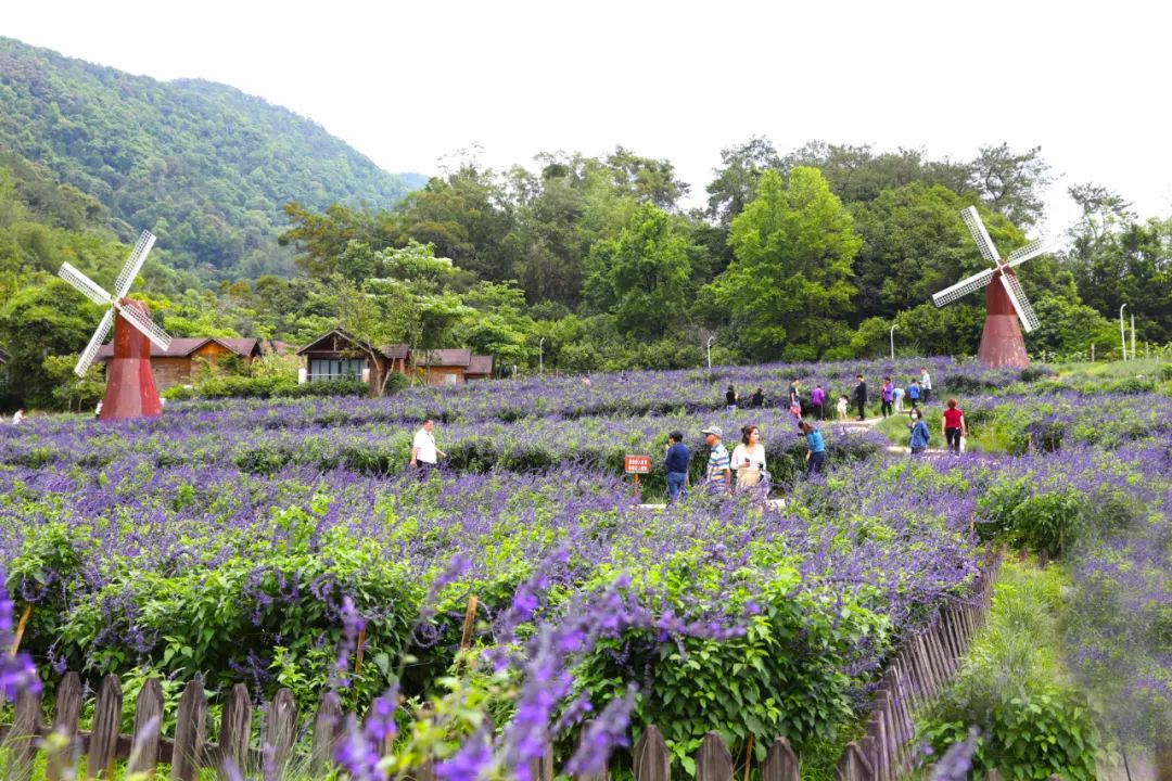 德庆盘龙峡景区门票团购价格_德庆盘龙峡好玩吗_德庆盘龙峡旅游攻略