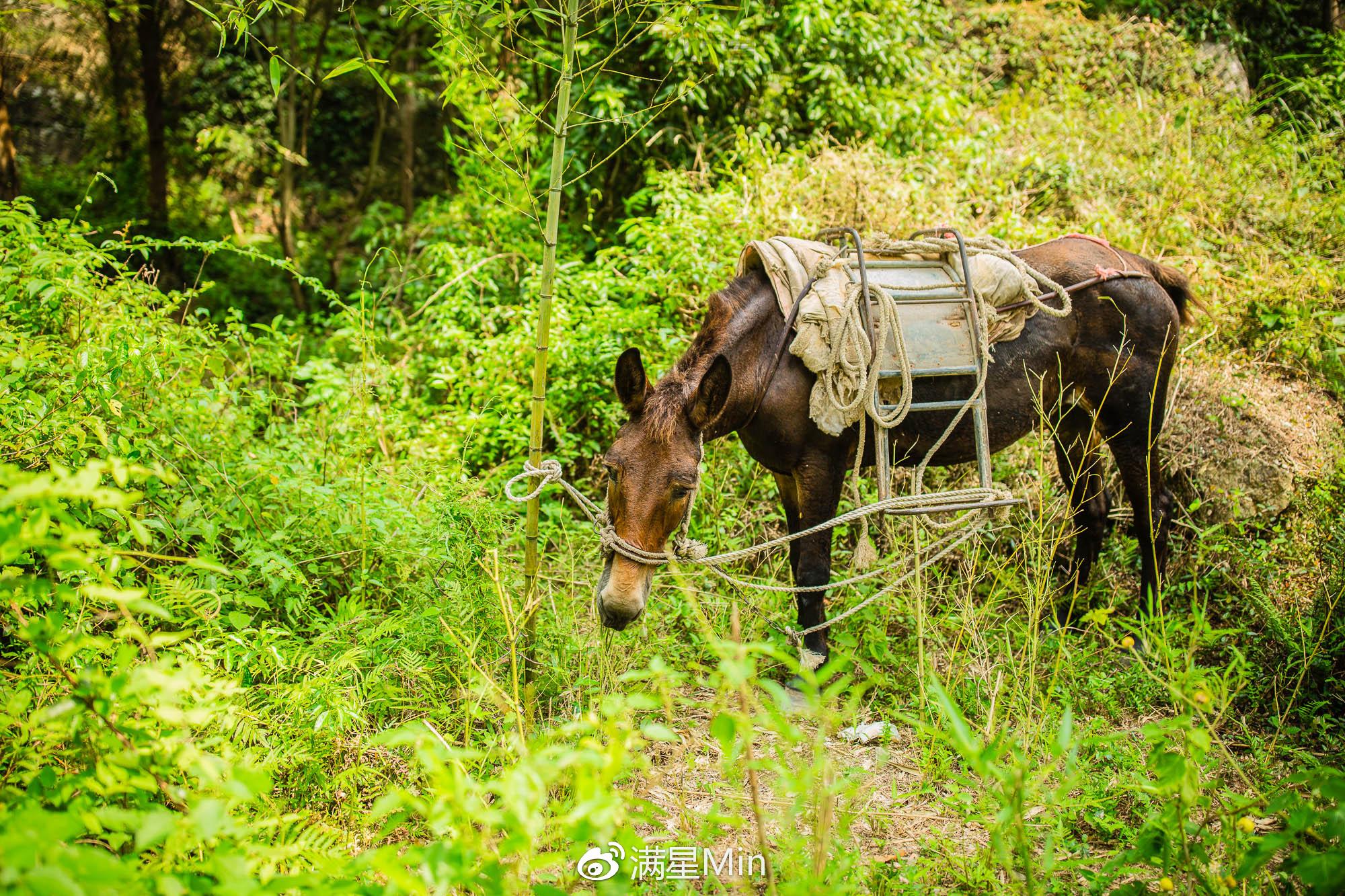 八台山旅游攻略_台山旅游攻略景点必去_攻略台山旅游路线
