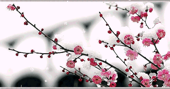 宜昌车溪旅游攻略-湖北宜昌车溪景区