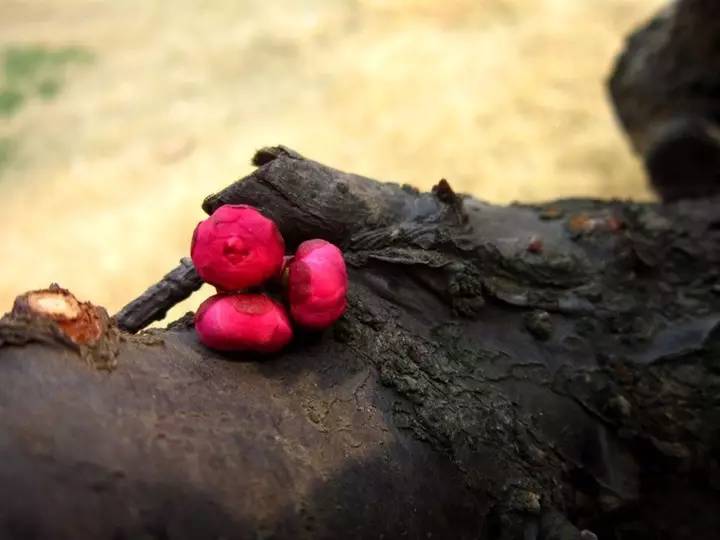 宜昌车溪游记_湖北宜昌车溪景区_宜昌车溪旅游攻略