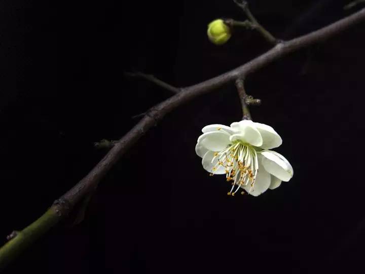 湖北宜昌车溪景区_宜昌车溪游记_宜昌车溪旅游攻略