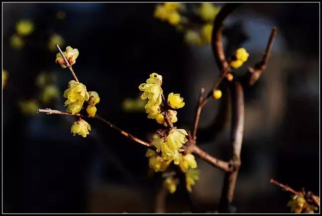 宜昌车溪游记_宜昌车溪旅游攻略_湖北宜昌车溪景区