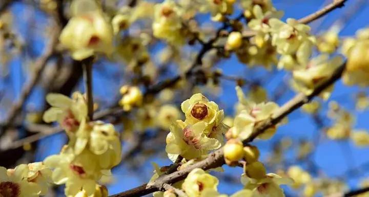 宜昌车溪旅游攻略_宜昌车溪游记_湖北宜昌车溪景区