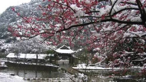 宜昌车溪游记_湖北宜昌车溪景区_宜昌车溪旅游攻略