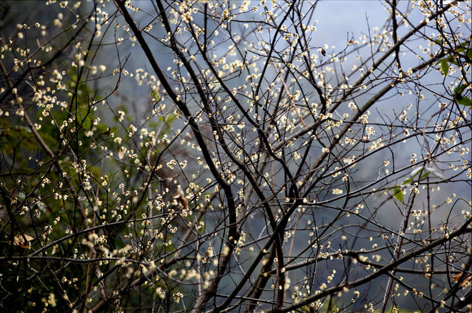 湖北宜昌车溪景区_宜昌车溪游记_宜昌车溪旅游攻略