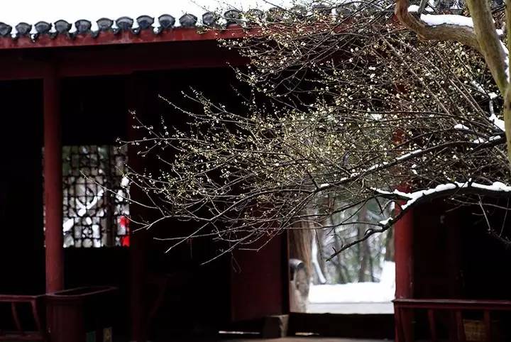 宜昌车溪旅游攻略_湖北宜昌车溪景区_宜昌车溪游记