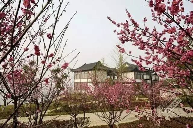 湖北宜昌车溪景区_宜昌车溪旅游攻略_宜昌车溪游记