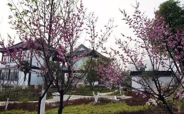 宜昌车溪旅游攻略_湖北宜昌车溪景区_宜昌车溪游记