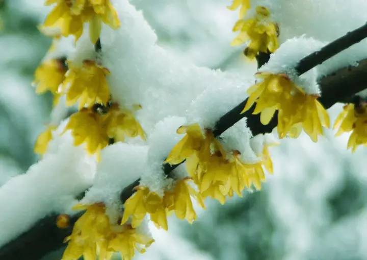 宜昌车溪旅游攻略_湖北宜昌车溪景区_宜昌车溪游记