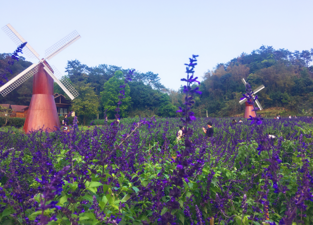 德庆盘龙峡景区门票团购价格_德庆盘龙峡好玩吗_德庆盘龙峡旅游攻略