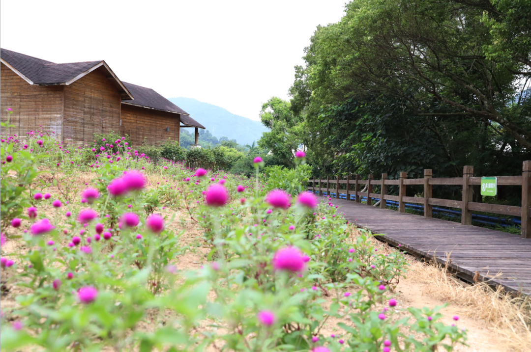 德庆盘龙峡旅游攻略_德庆盘龙峡好玩吗_德庆盘龙峡景区门票团购价格