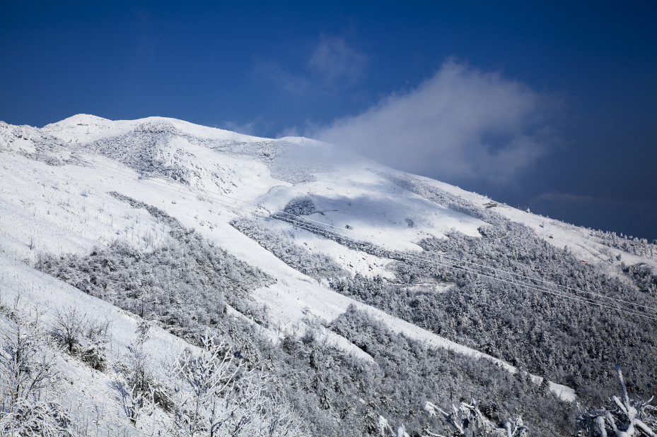 攻略台山旅游的地方_八台山旅游攻略_台山旅游攻略