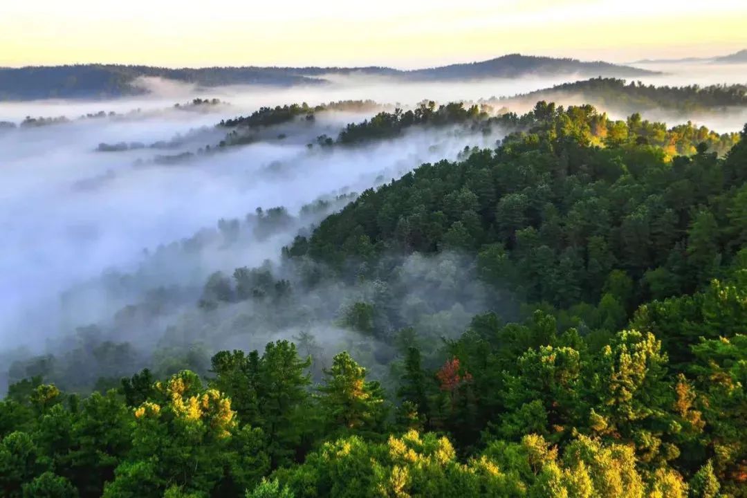 小兴安岭旅游攻略-兴安岭旅游(图6) 小兴安岭旅游_兴安岭旅游_小兴安岭旅游攻略
