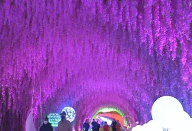 本溪关山湖旅游攻略-本溪关山湖景区门票多少钱(图5) 本溪关山湖旅游攻略_本溪关山湖多少钱一张门票_本溪关山湖景区门票多少钱