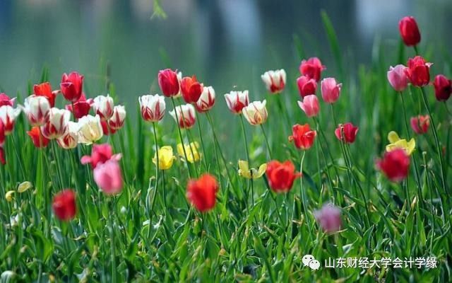 济南章丘市旅游攻略-济南章丘景点推荐(图10) 济南章丘最值得去的景点_济南章丘市旅游攻略_济南章丘景点推荐