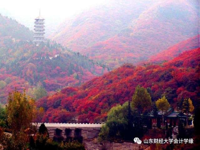 济南章丘市旅游攻略-济南章丘景点推荐(图11) 济南章丘市旅游攻略_济南章丘景点推荐_济南章丘最值得去的景点