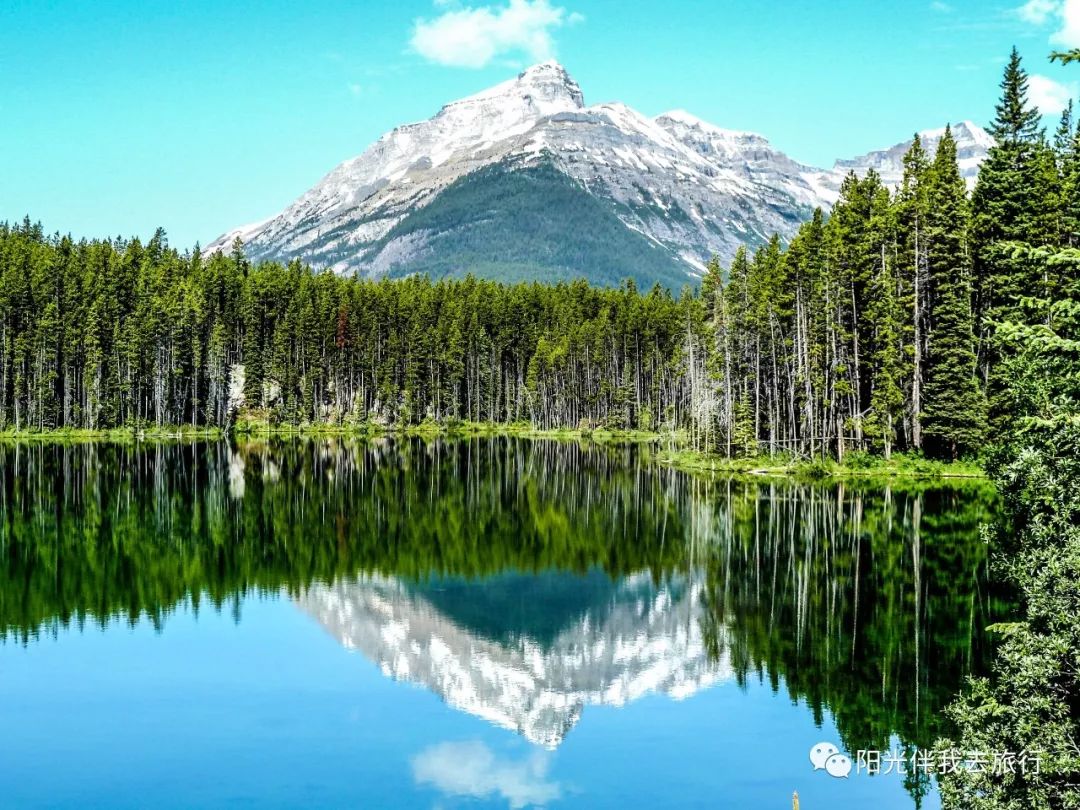 美国旅游功攻略_2020美国旅游_美国一周旅游攻略