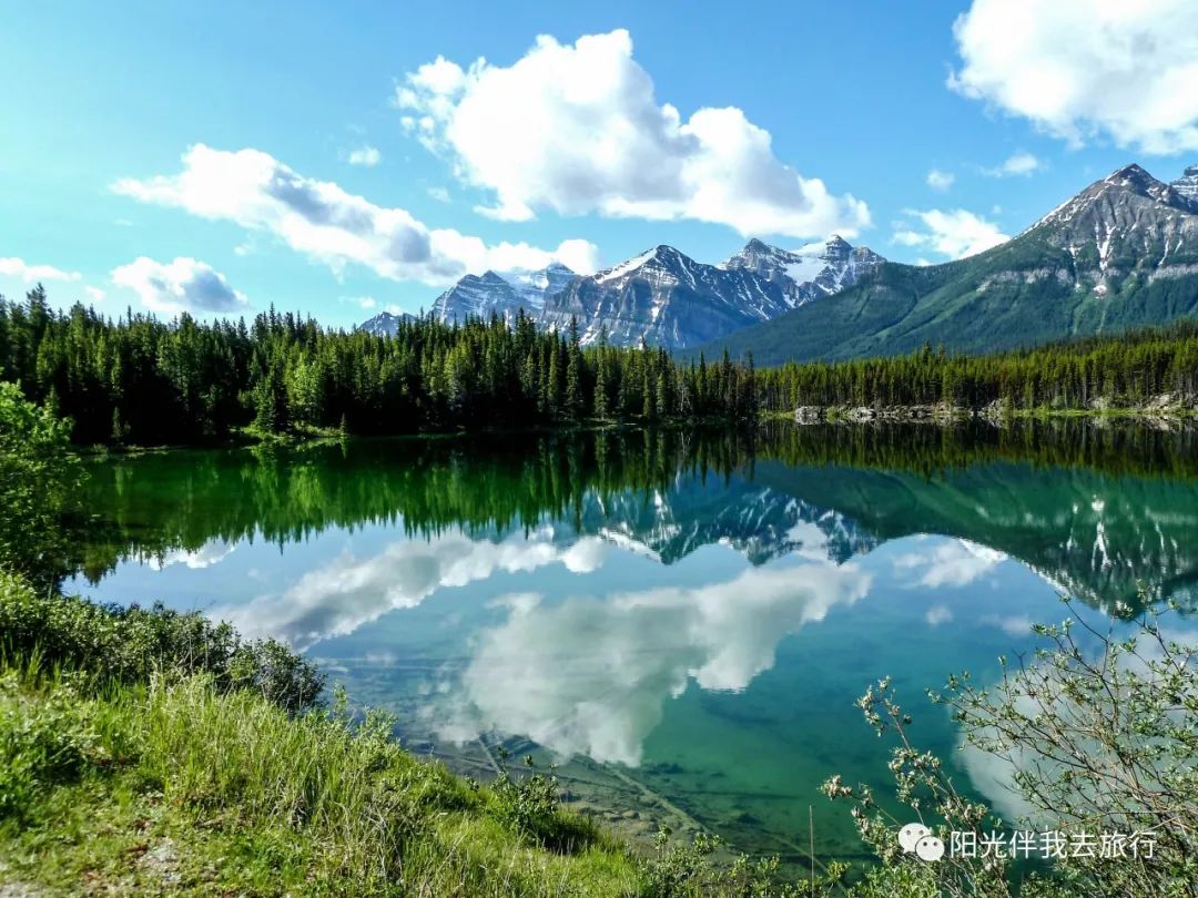 2020美国旅游_美国一周旅游攻略_美国旅游功攻略