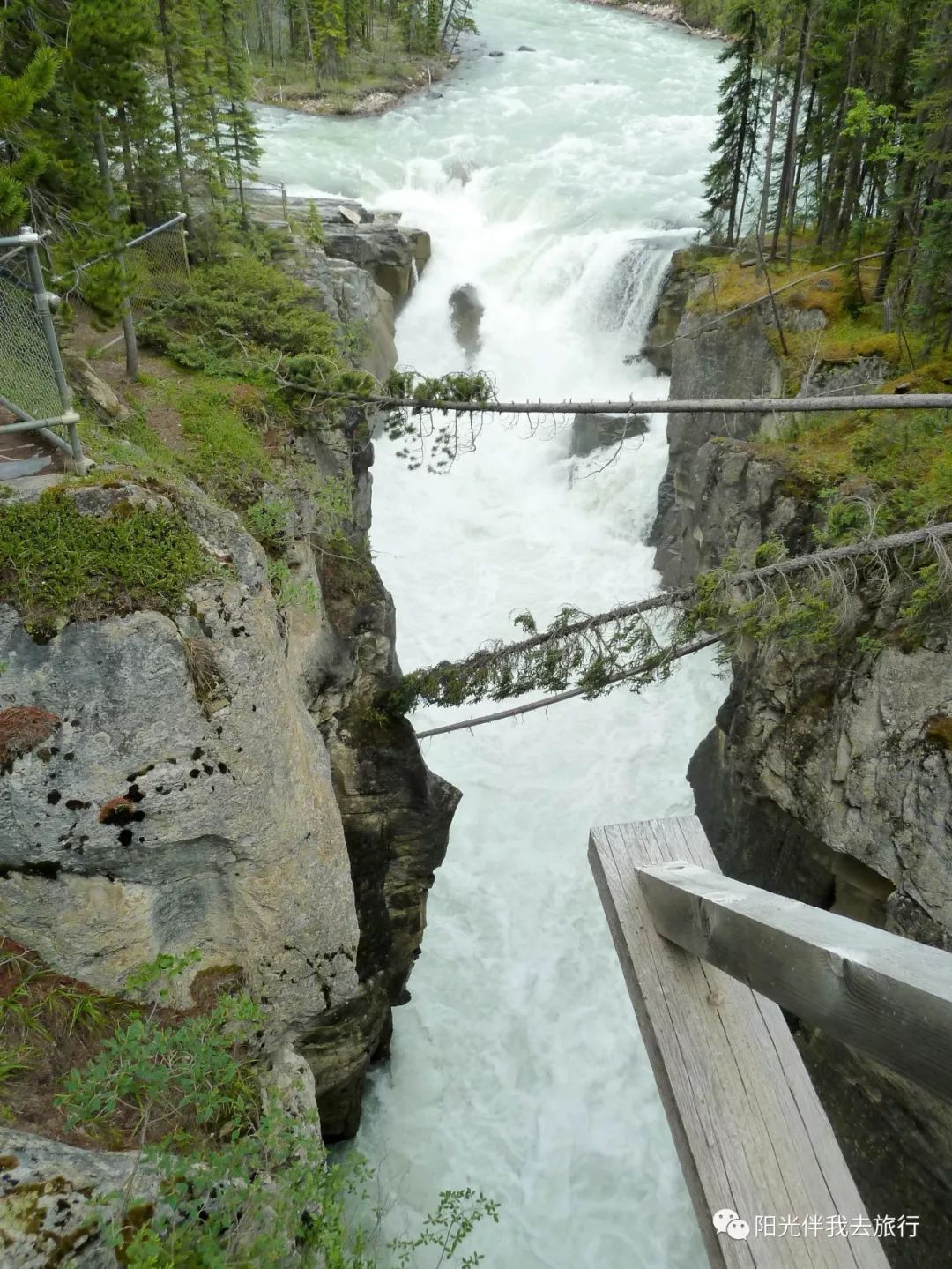 2020美国旅游_美国一周旅游攻略_美国旅游功攻略