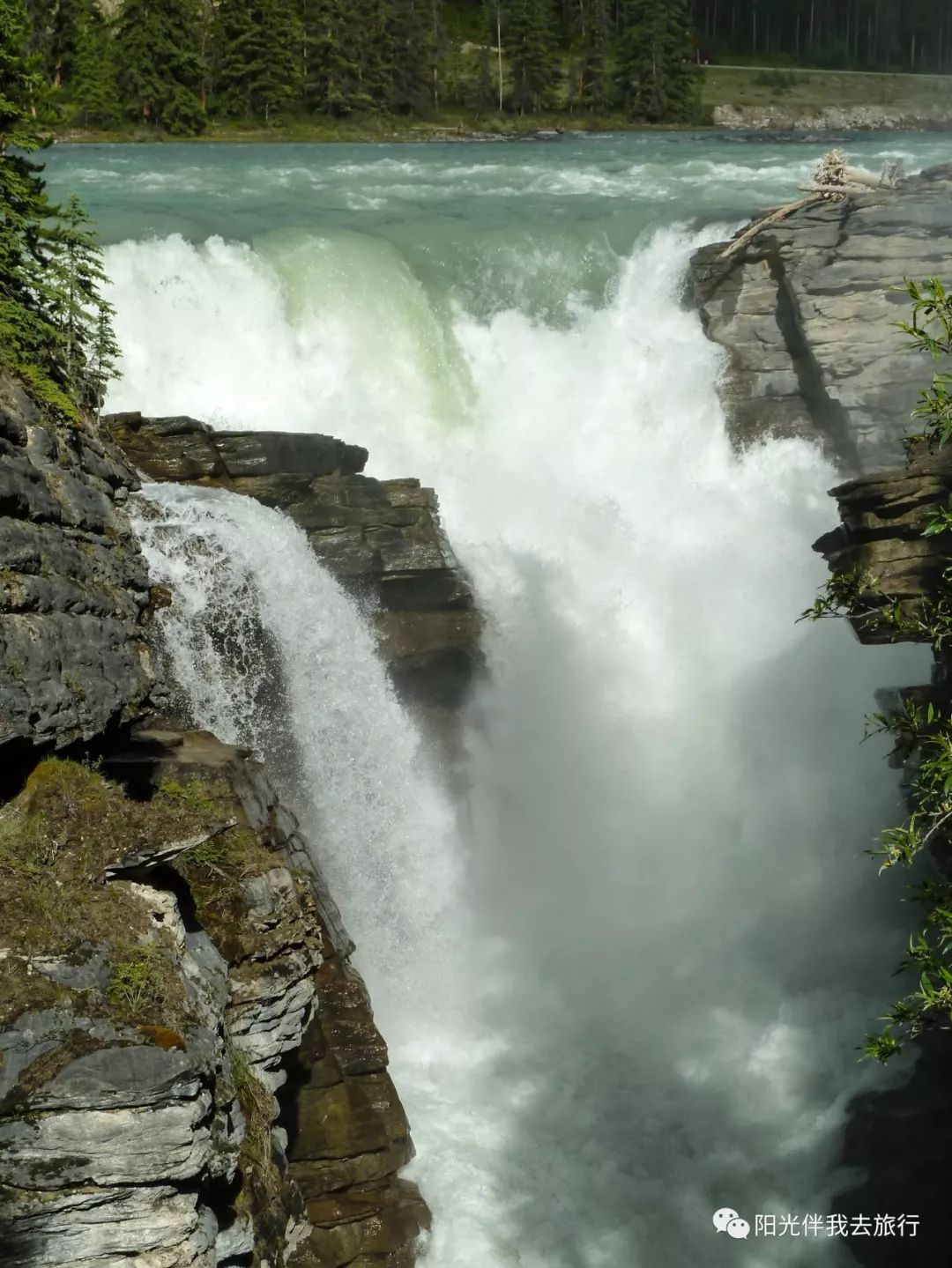 2020美国旅游_美国一周旅游攻略_美国旅游功攻略