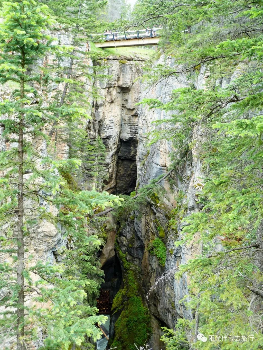 美国旅游功攻略_2020美国旅游_美国一周旅游攻略