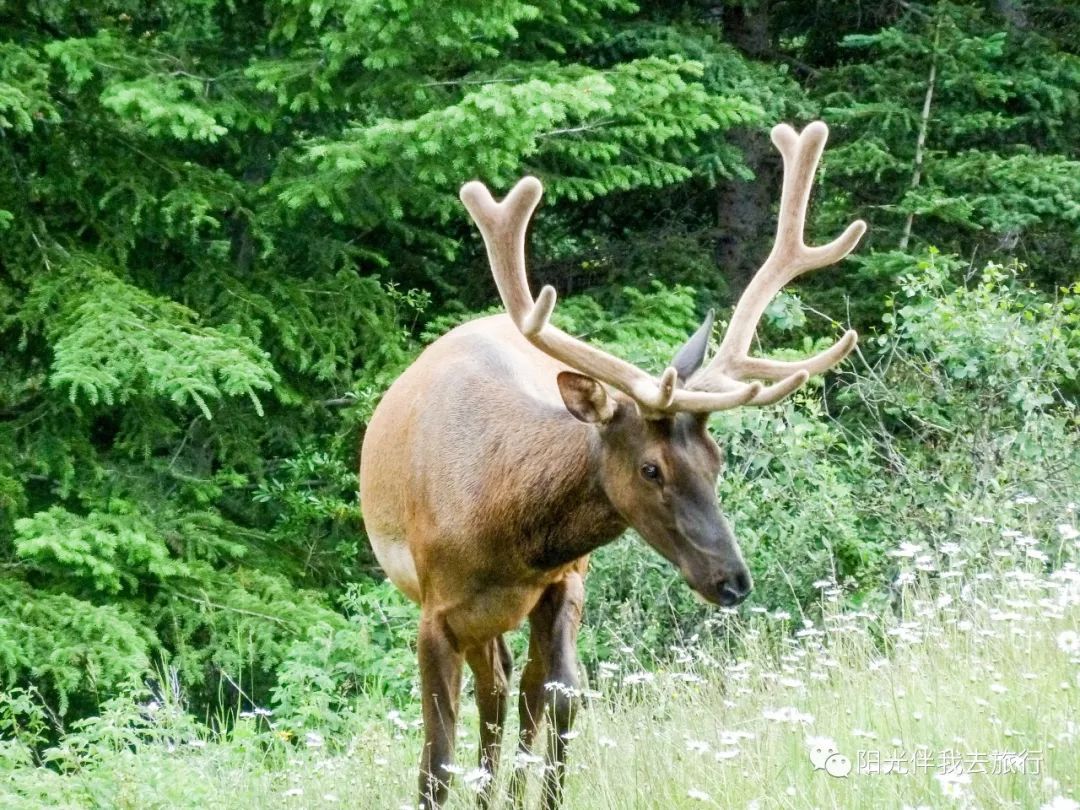 美国一周旅游攻略_美国旅游功攻略_2020美国旅游