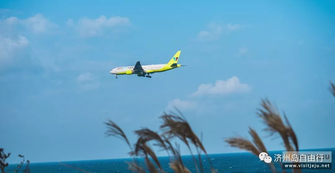 济州岛西归浦旅游攻略-韩国西归浦市旅游景点(图5) 济州岛西归浦旅游攻略_韩国西归浦市旅游景点_济州岛西归浦景点