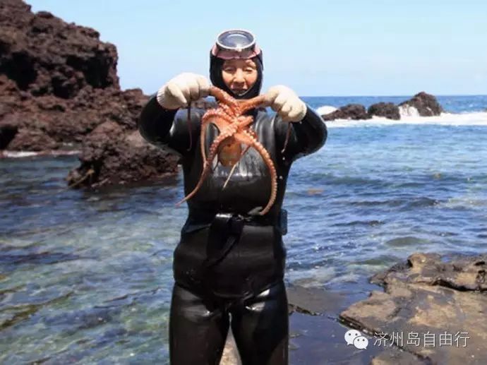 济州岛西归浦旅游攻略-韩国西归浦市旅游景点(图17) 济州岛西归浦景点_济州岛西归浦旅游攻略_韩国西归浦市旅游景点