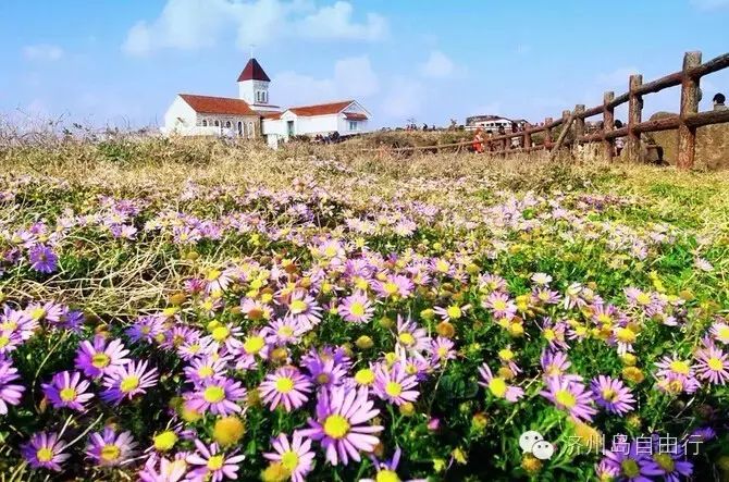 济州岛西归浦景点_济州岛西归浦旅游攻略_韩国西归浦市旅游景点