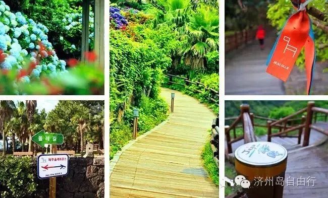 韩国西归浦市旅游景点_济州岛西归浦旅游攻略_济州岛西归浦景点